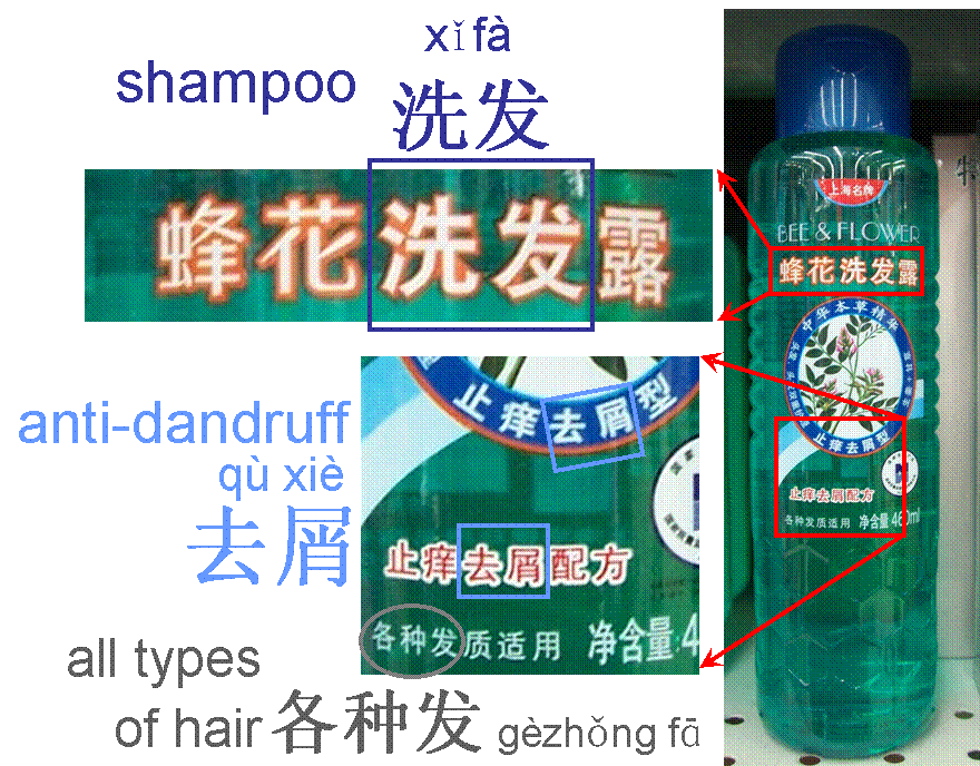 Picture of a shampoo label